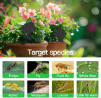 58 Pack Flying Insect Traps for Plants – Black Sticky Traps for Fungus Gnats, Flies & Flying Bugs, Indoor Outdoor Flying Bug Catcher for Pots, Garden & Kitchen, Non-Toxic, Odorless, Kid & Pet Safe