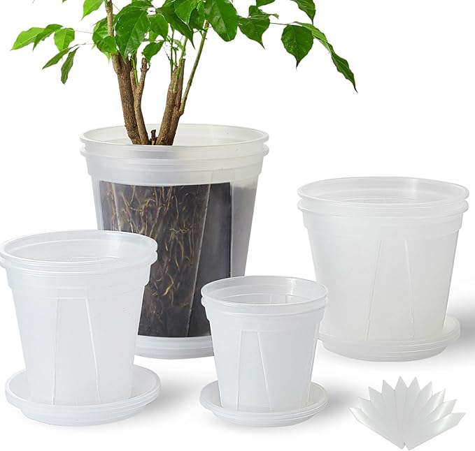 8 pcs 5/6/7/8 inch Large Clear Nursery pots for Plants with Saucers,Thick Plastic Nursery pots for Plants with Drainage Holes for Monstera Plant Live,Ariod,etc
