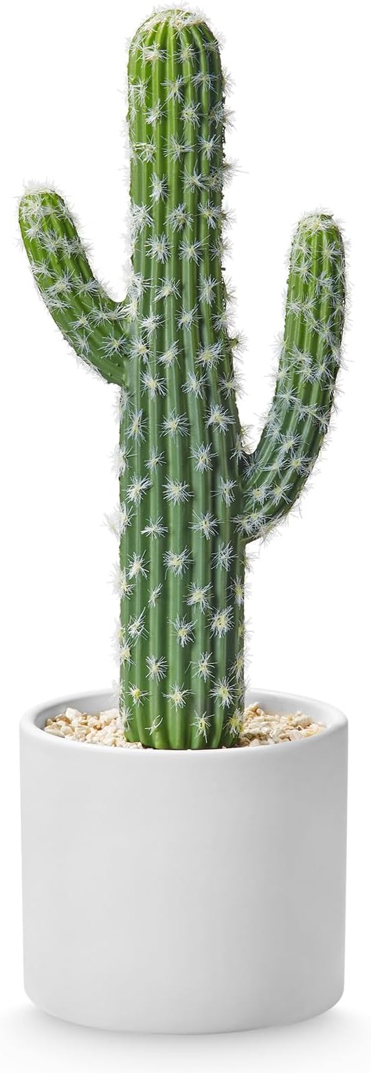 Artificial Cactus Plants - Potted Succulents in Ceramic, Faux Cacti and Succulent Decor for Home, Office Desk，Living Room-1pack
