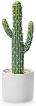 Artificial Cactus Plants - Potted Succulents in Ceramic, Faux Cacti and Succulent Decor for Home, Office Desk，Living Room-1pack