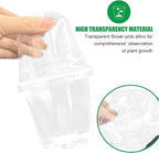 RooTrimmer Transparent Nursery Pots 3.5Inch with Humidity Domes for Seeds Starting, Clear Plastic Plant Pots with Drainage Holes (3.54Inch, 40Pcs,Clear Pots with Lids)