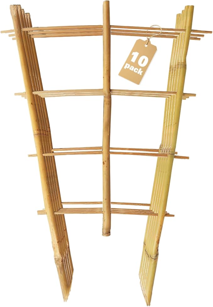Bamboo Trellis 10 Pack, 16 Inches S3 Natural Bamboo Plant Fan Stakes, Fan-Shaped Plant Support Stand for Orchid Vines, Monarchs, Ivy and Other Plants Climbing, Help Plant Growth