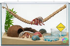 EctoTherm Hermit Crab Tank - 10 Gallon Tank with Lid - Complete Hermit Crab Cage for Large & Small Crabs - Glass Tank