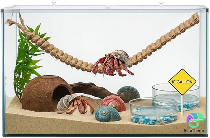 EctoTherm Hermit Crab Tank - 10 Gallon Tank with Lid - Complete Hermit Crab Cage for Large & Small Crabs - Glass Tank