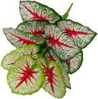 Artificial Caladium Plant with Red and Green Leaves, Red Leaf Artificial Plants Decoration Simulated Bonsai Potted Decor Home Room Party Wedding Office Floor (White(No Flowerpot), 60cm)