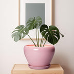 Ceramicfor 10 Inch Plant Pot - Ceramic Planter for Indoor Plants, Glaze Modern Round Planter with Drainage Hole and Saucer, Gifts for Plant Lovers, Office Patio Home Room Decor, Pink