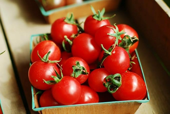 MOCCUROD 100 Seeds Indoor Cherry Tomato Dwarf Red and Yellow Tomato Rare Vegetable Heirloom Seeds