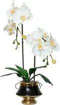 CXGS Orchids Artificial Flowers Realistic Fake Flowers in Ceramic Vase 20" White Faux Plants Indoor Lifelike Soft PU Phalaenopsis for Centerpiece Hotel Home Decor