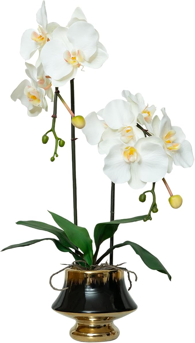 CXGS Orchids Artificial Flowers Realistic Fake Flowers in Ceramic Vase 20" White Faux Plants Indoor Lifelike Soft PU Phalaenopsis for Centerpiece Hotel Home Decor