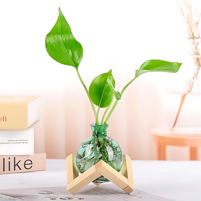 Plant Propagation Station Propagation Vases for Plants Glass Terrariums Vases Bulb with Wooden Stand for Hydroponic Water Plants Indoor, Office Decor Desk Accessories (Green)