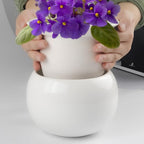 BUYMAX African Violet Pots, 6 inch Ceramic Easy Self Watering Plant Pot for Busy Plant Lovers, Automatically Absorb Appropriate Amount of Water, Flower Pot Indoor-Plants Not Included