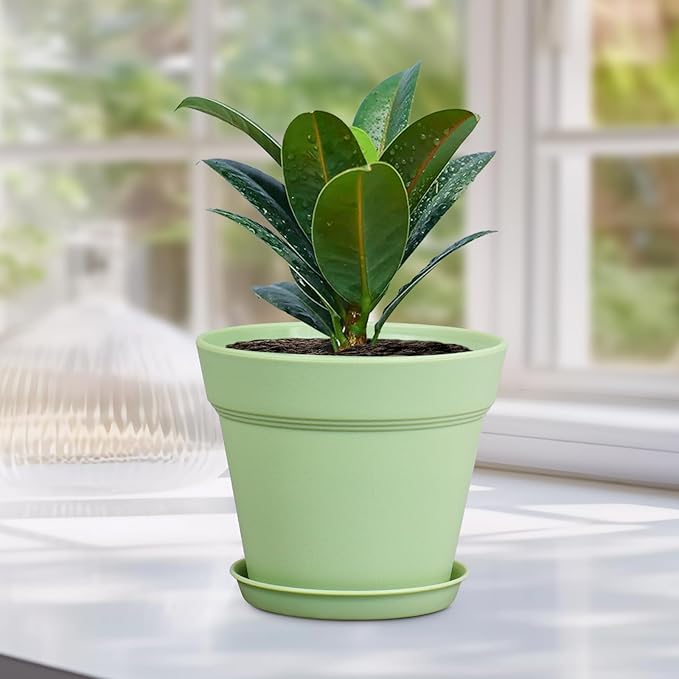 Meowell 4 inch Small Plastic Nursery Pots,16 Pack Plant Pots for Indoor Outdoor Plants, Flower Pots with Drainage Holes and Saucers, Decorative Seeding Starter Planters for House Plants, Colorful