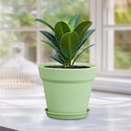 Meowell 4 inch Small Plastic Nursery Pots,16 Pack Plant Pots for Indoor Outdoor Plants, Flower Pots with Drainage Holes and Saucers, Decorative Seeding Starter Planters for House Plants, Colorful