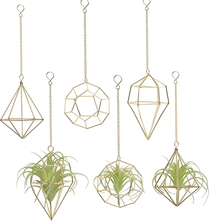 Gold Hanging Air Plants Holders Small Tillandsia Airplants Hangers 6 Pack Geometric Wire Himmeli Air Fern Display Planter with Chains Airferns Metal Hanging Holders