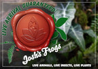 Josh's Frogs 29 Gallon Tropical Vivarium Plant Kit