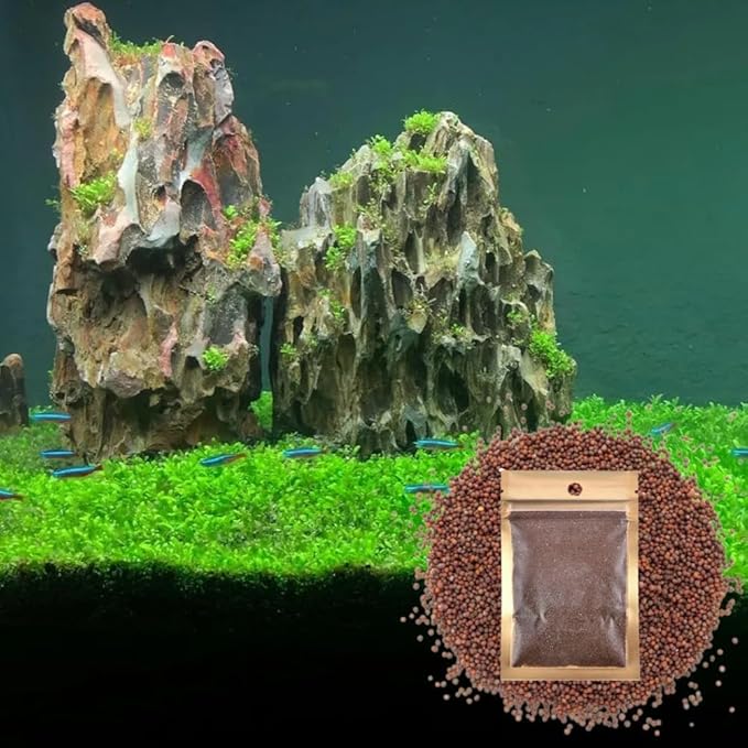 Freshwater Aquarium Decor, Easy Growing Dwarf Carpet for Fish Tank/Terrarium, Natural Aquatic Plant Growth Material – 1 Pack (Small Leaf)