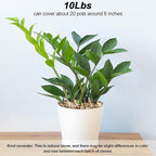 Landscape Rocks,Landscaping Pebbles,River Rocks,Decorative Ornamental Pebbles,Garden Landscaping Stones, Gravel Filler for Home Decoration Flower Bed Fish Tank Plants Vases Succulents (10 Pounds)