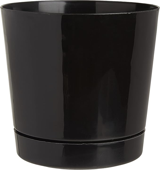 Root & Vessel Majestic Full Depth Round Cylinder Pot, Glossy Black, 8-Inch (10088)