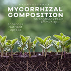 DYNOMYCO Granular Mycorrhizal Fungi Inoculant, 50g / 1.76oz – Boosts Root Growth, Yields & Nutrient Uptake – 900 Propagules/g, Concentrated Granules, & OMRI Listed – Biofertilizer for Plant Growth