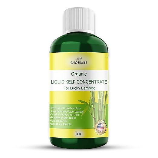 GARDENWISE Organic Premium Kelp Seaweed Fertilizer for Lucky Bamboo - Liquid Plant Food - Soil Enhancer - Natural Plant Food (8 OZ)