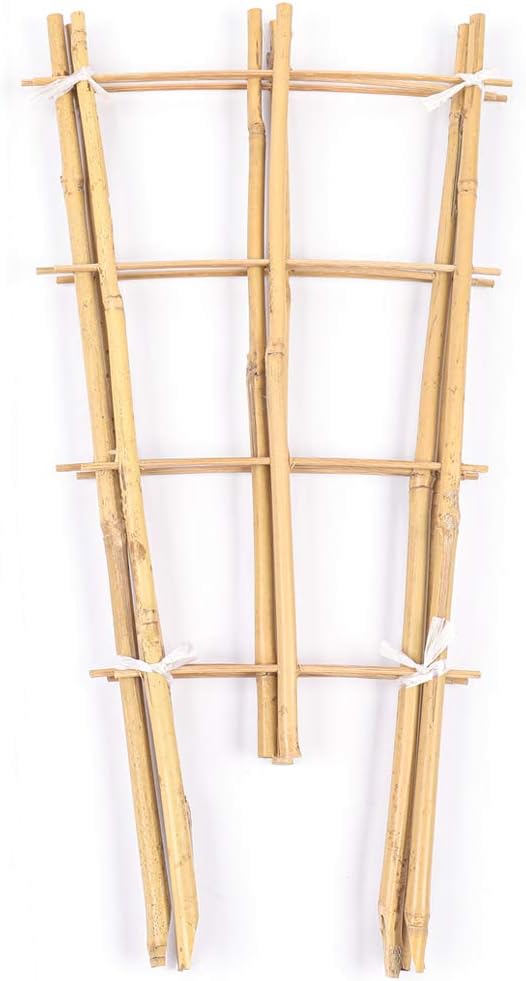 Cambaverd Trellis for Climbing Plants Indoor Outdoor, Natural Bamboo Trellis 24 Inch, 3 Pack Garden Trellis for Potted Plants, Ivy, Monstera, Houseplants