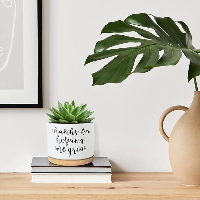 Teachers Appreciation Gift, 3.5 inch Ceramic Succulent Cactus Planter Pots for Indoor Outdoor, Thank You Gift for Mom Teacher Plant Lover Birthday Christmas Teacher's Day (No Plants)