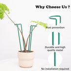 Indoor Plant Stakes – 8.7" U-Shaped Durable Iron Support for Monstera & Potted Plants, Perfect for Small to Medium Climbing Plants, 10-Pack, Ideal for Home Décor & Plant Lovers