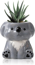 DIYOMR Cute Animals Planter, Mini Ceramic Cartoon Animal Shaped Succulent Flower Pot Indoor Air Plants Holder, Smooth Shiny Decorative Flower Cactus Planter - Plants Not Included (Koala)