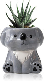 DIYOMR Cute Animals Planter, Mini Ceramic Cartoon Animal Shaped Succulent Flower Pot Indoor Air Plants Holder, Smooth Shiny Decorative Flower Cactus Planter - Plants Not Included (Koala)