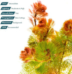 SubstrateSource Live Aquarium Red Stem Plants - Freshwater Aquatic Plant for Fish Tanks, Aquascaping - (Cabomba Piauhyensis Red, 4 Bunches)