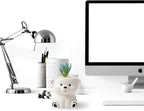 DIYOMR Cute Animals Planter, Mini Ceramic Cartoon Animal Shaped Succulent Flower Pot Indoor Air Plants Holder, Smooth Shiny Decorative Flower Cactus Planter - Plants Not Included (White Bear)