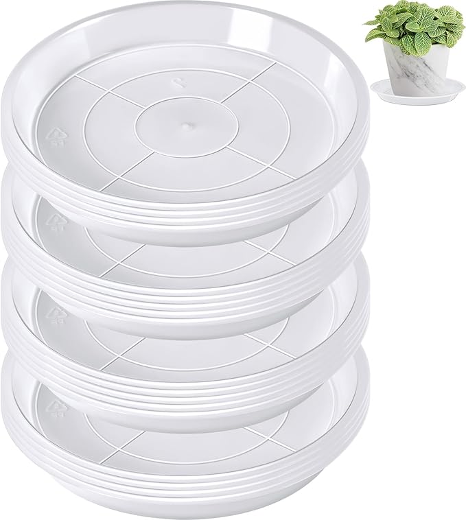 Augshy 18 Pack Plant Suacer 6 Inche Plant Drip Trays for Pots Clear Plant Pot Trays Water-Repellent Plant Saucers for Gardens Balconies and Indoors