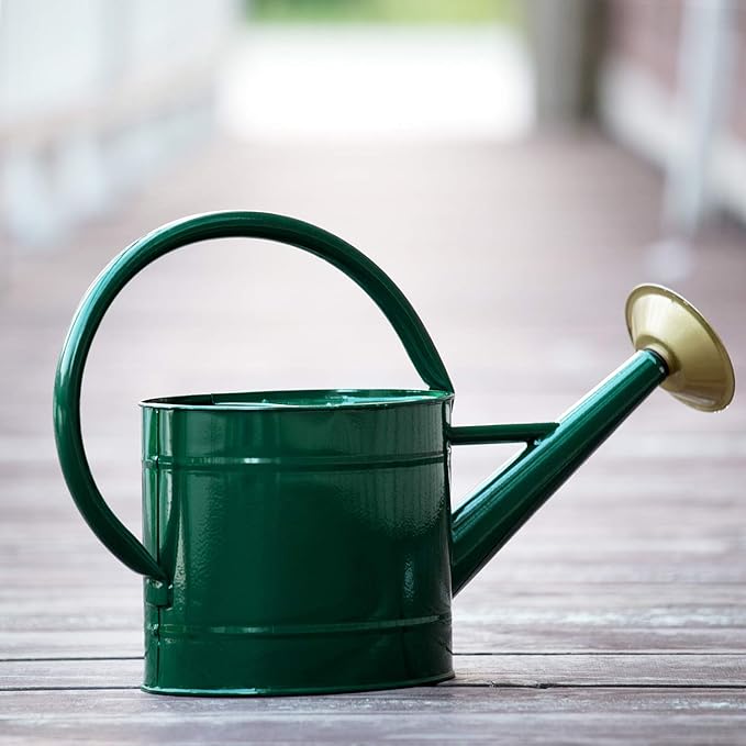 1.3 Gal Watering Can, Metal Watering Can with Removable Spout, Galvanized Water Can, Nice Plant Water Can for Indoor and Outdoor Use