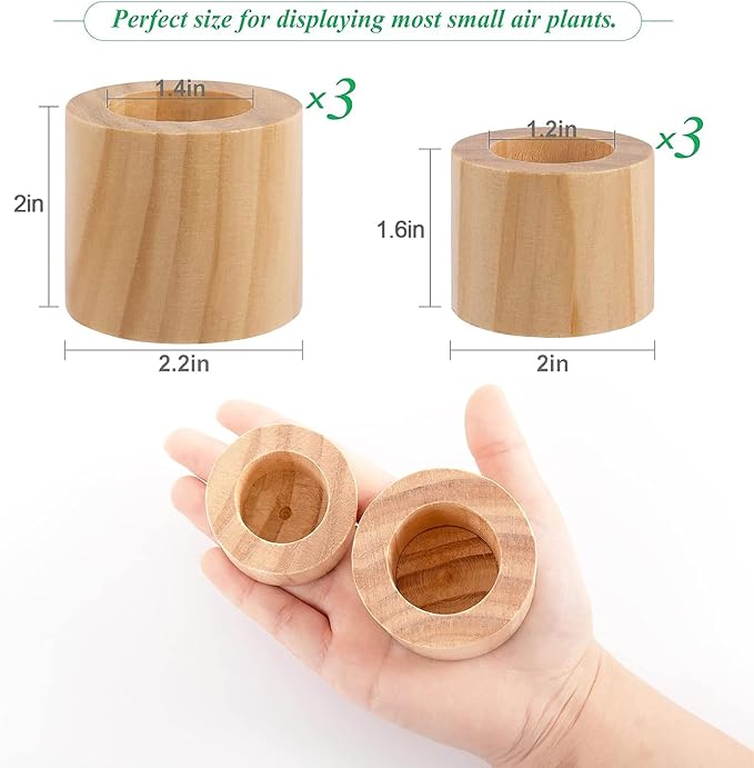 Bigmeta 6 Pcs Wood Air Plant Holder - 1.2" & 1.4" Rustic Style Airplant Display Stands for Women Gifts