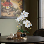 CXGS Orchids Artificial Flowers Realistic Fake Flowers in Ceramic Vase 20" White Faux Plants Indoor Lifelike Soft PU Phalaenopsis for Centerpiece Hotel Home Decor