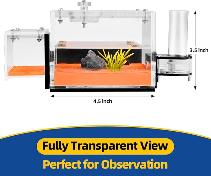 Formicarium - Ant Farm Habitat for Live Ants & Queen, Adult Educational Kit for Ant Behavior Study and Learning