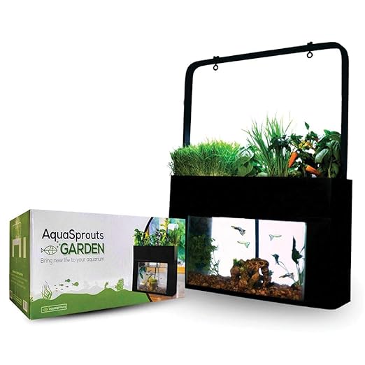Carolina Aquasprouts Garden Aquaponics Desktop System, Black, Polypropylene Plastic, Aquarium, Fish, Educational, Indoor, Plant and Animal Housing