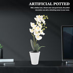 LALAFINA Artificial Butterfly Orchid Bonsai Plant, Faux Potted Simulation Flower, White Decorative Indoor Home Décor, Lifelike Artificial Plant Ornament for Living Room and Office