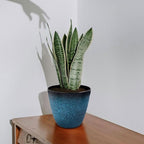 3Pack Plant Pots Durable Decorative Flower Pots,6 Inch Planter Set for Indoor and Outdoor Plants,Flowers,Succulents (Blue)