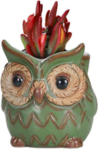 DIYOMR Small Ceramic Planter Pot, 4.3" Vintage Bronze Animal Planters Ceramic Flowerpot Succulent Pots Cactus Pot (Owl)