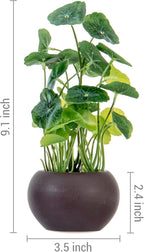 MyGift Modern Trio of Artificial Assorted Green Leaf Plants Potted in Decorative Round Brown Ceramic Pots, Faux Foliage Indoor Tabletop Houseplants, 3 Piece Set