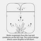 SARUFO Small Glass Plant Terrarium 4.7"X7" Inches Succulent Air Planter Fern Moss Micro-Landscape Vase for Home Garden Office Tabletop Decoration Container with Lid Indoor Wardian Copyright Patent