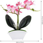 POPETPOP Artificial Potted Orchid Plant Miniature Faux Butterfly Orchid for Home Decor Wedding and Photography and Design Elegant