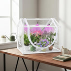 Indoor Mini Greenhouse with Grow Light, Tabletop Small Greenhouse for Beginners, All-in-One Tiny Plant Nursery Kit with Adjustable LED Light & Timer, Smart Grow Tent for Herbs, Gardening Gift