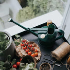 Indoor Plastic Watering Can | The HAWS Langley Sprinkler - One Pint | Pot Waterer | Fine Spray Rose | Recycled - Black