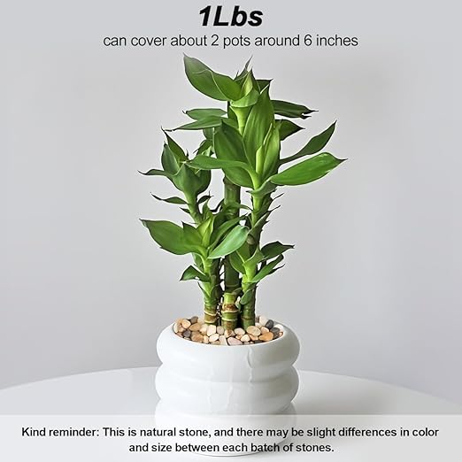 River Rocks,Landscaping Pebbles Decorative Ornamental Pebbles Garden Landscaping Stones Gravel Filler for Home Decoration Flower Bed Fish Tank Plants Vases Succulents (Mixed Color, 1 Pound)