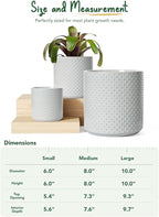 LE TAUCI Ceramic Pots for Plants, 10/8/6 Inch Indoor Planters with Draiange Hole, Silicone Plug & Mesh Pad, Modern Rasied-Dots Pots for Home Office, Set of 3, Glossy, Star Gray
