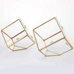 ELEGANTLIFE Glass Geometric Plant Terrarium,Succulent & Air Planter for Home Garden Office Decoration(Gold Cubic Set of 2)