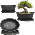 MUZHI 3 Pack Mixed Size Oval Bonsai Planter Pot with Drainage Tray, Matte Finish Ellipse Plastic Bonsai Succulent Growing Pot for Home Garden Plant Container 9.1” 7.2” 5.2”