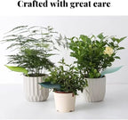 Waterer 9PCS Plant Drainage Watering Leaf Diversion Funnel 3PCS Multifunctional Watering Nozzle Head